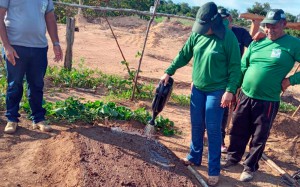 Curso Olericultura Pimenteiras 2021 (8)