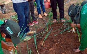 Curso Olericultura Pimenteiras 2021 (9)