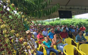 DE CAFE TECNOLOGICIO SERINGUEIRAS (11)