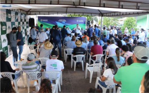 ENTREGA DE MUDAS C AFE E CACAU (6)