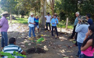 Excursao-de-Itapua-a-Alto-Paraiso-cafe-clonal-(6)