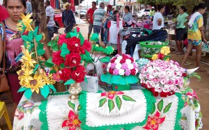 FEIRA DE RUA ALTO PARAISO (13)