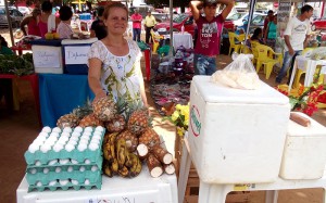 FEIRA DE RUA ALTO PARAISO (8)