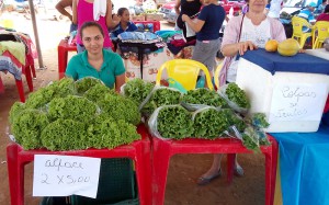 FEIRA DE RUA ALTO PARAISO (9)