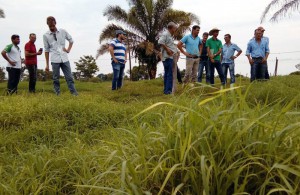 Visita-a-propriedade pastejo-rotacionado-PBu-(12)